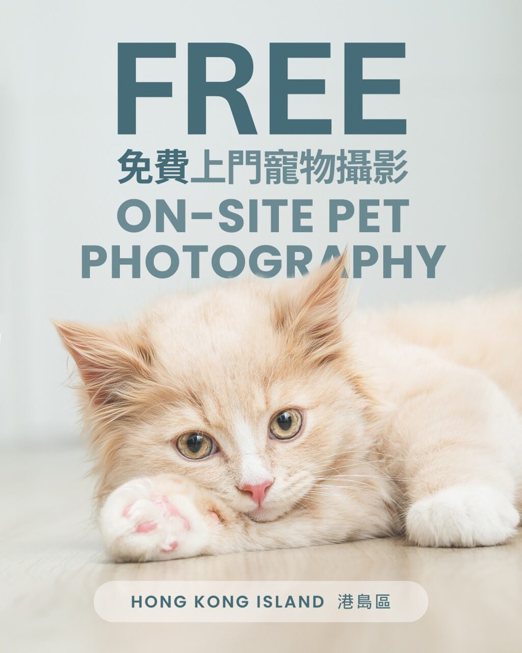 Instagram post from awwwmoments.hk. This post is in position 6.