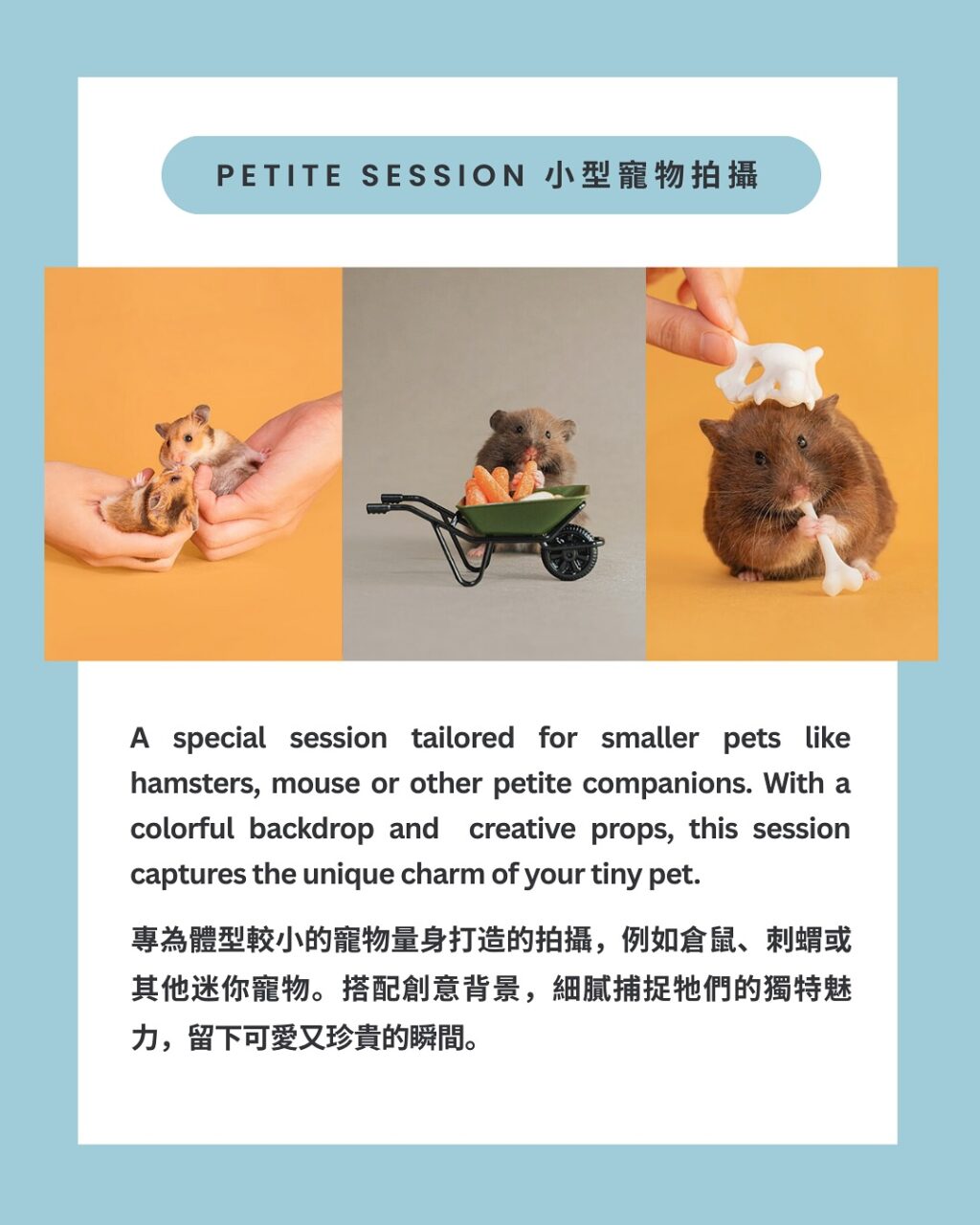 Instagram post from awwwmoments.hk. This post is in position 4.
