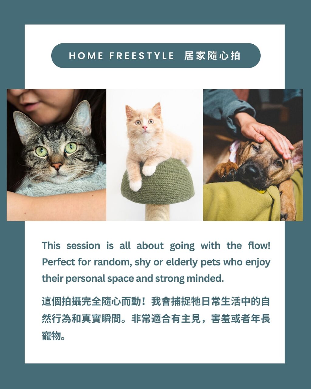 Instagram post from awwwmoments.hk. This post is in position 1.