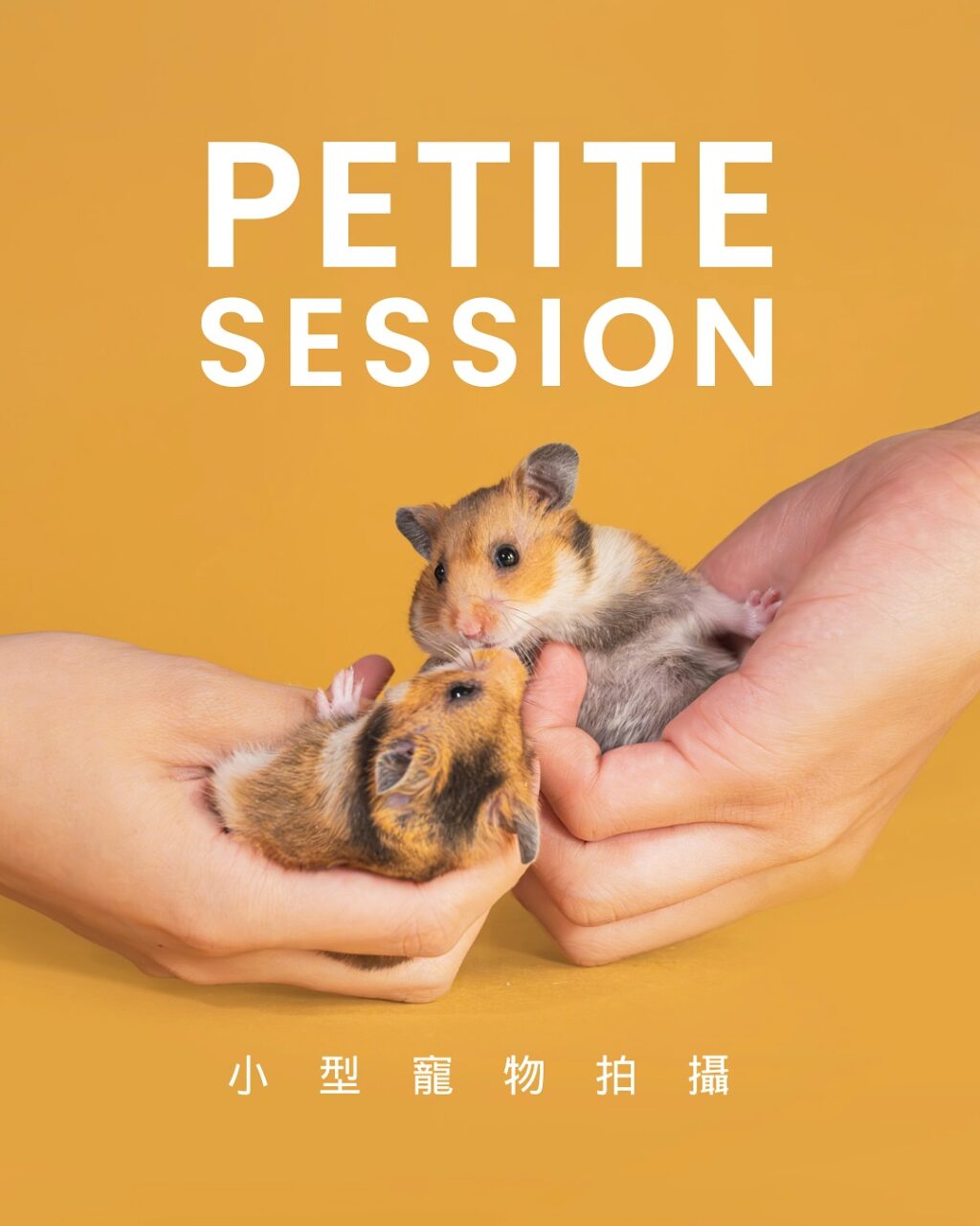 Instagram post from awwwmoments.hk. This post is in position 0.