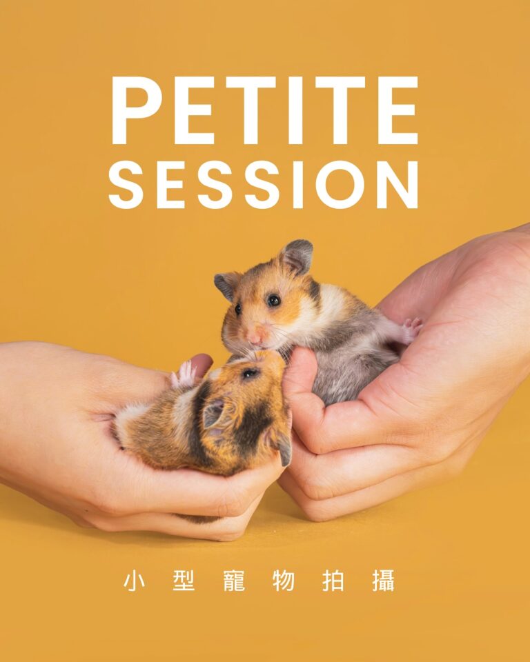 Instagram post from awwwmoments.hk. This post is in position 4.