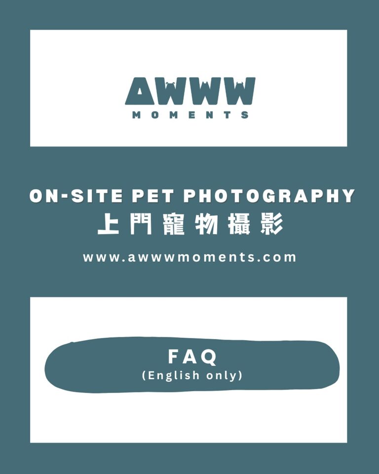 Instagram post from awwwmoments.hk. This post is in position 11.