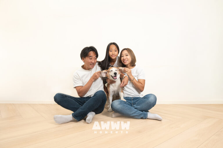 Awwwmomments_-上門寵物攝影_比高犬_家庭照6