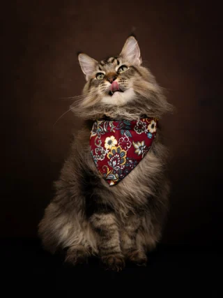 Instagram post from awwwmoments.hk. This post is in position 11.