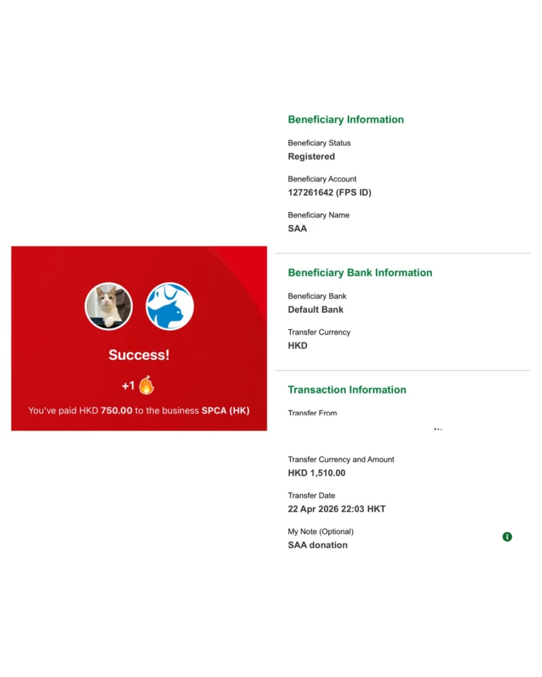 Instagram post from awwwmoments.hk. This post is in position 5.