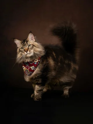 Instagram post from awwwmoments.hk. This post is in position 10.