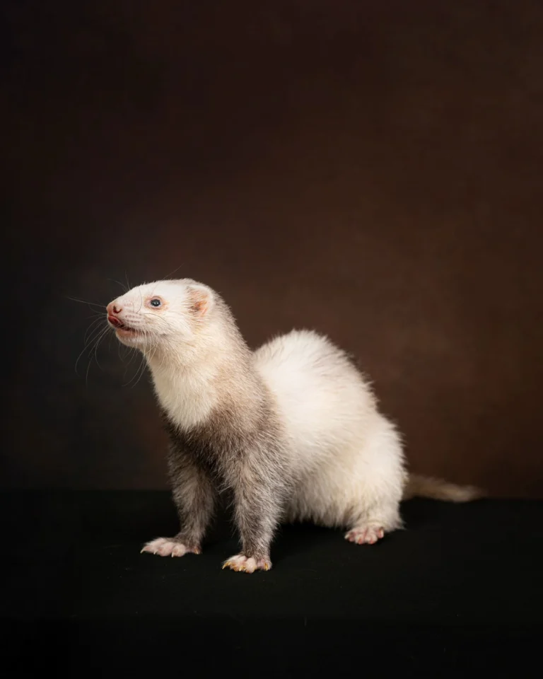 Instagram post from awwwmoments.hk. This post is in position 4.