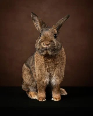 Instagram post from awwwmoments.hk. This post is in position 6.