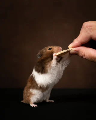 Instagram post from awwwmoments.hk. This post is in position 9.