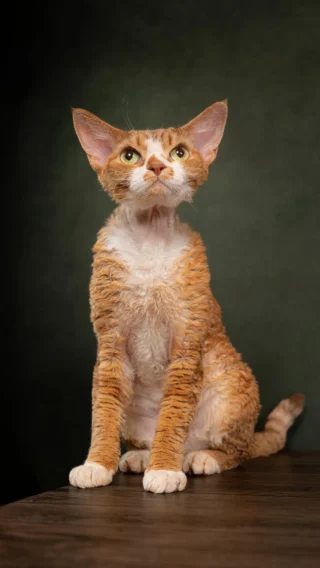 Instagram post from awwwmoments.hk. This post is in position 2.