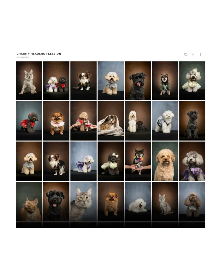 Instagram post from awwwmoments.hk. This post is in position 0.