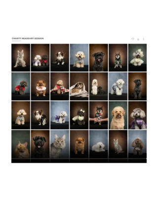 Instagram post from awwwmoments.hk. This post is in position 1.