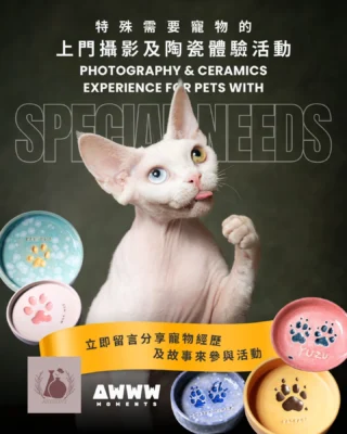 Instagram post from awwwmoments.hk. This post is in position 1.