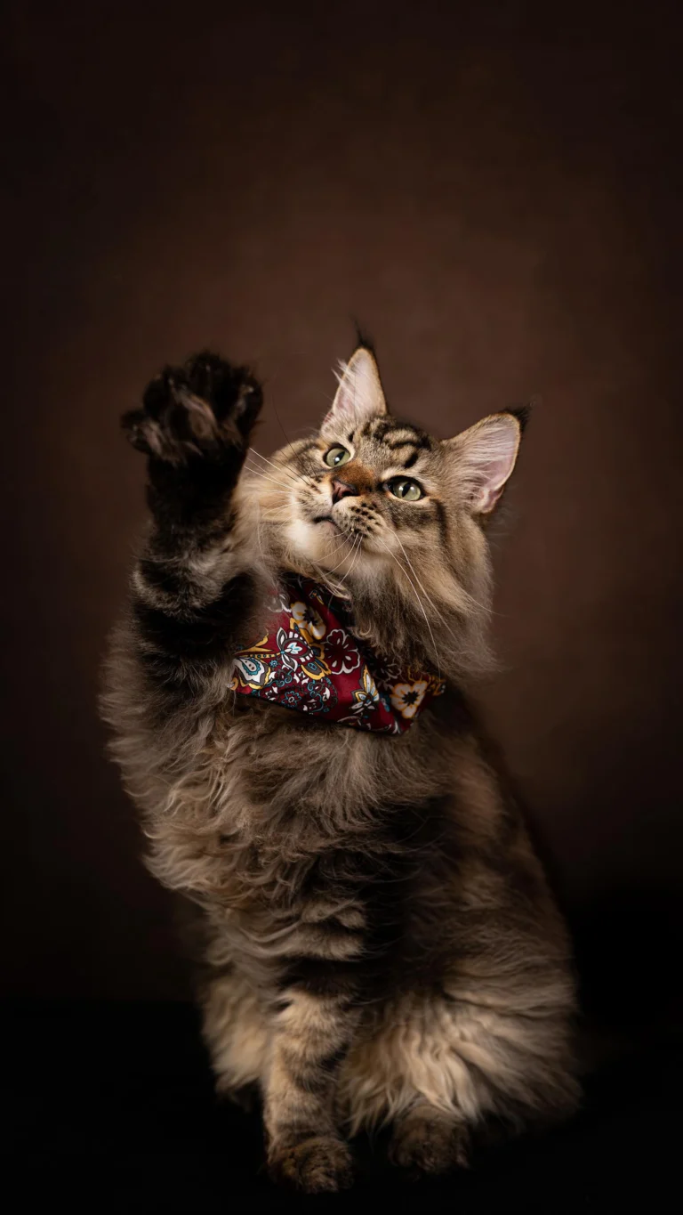 Instagram post from awwwmoments.hk. This post is in position 11.